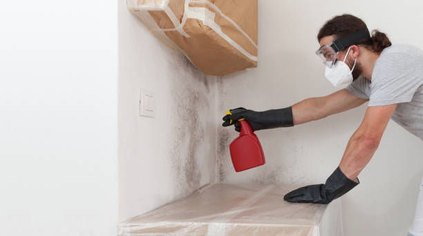 Professional Crawl Space Mold Removal technician working in Manistee, MI