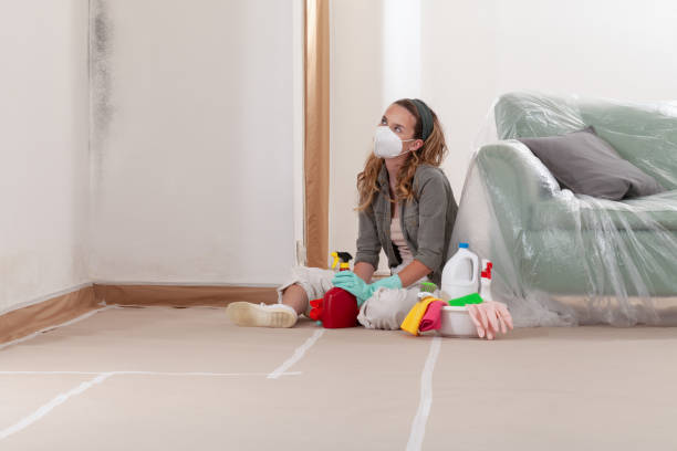 Reliable Mold Cleanup contractor in Manistee, MI by Cheap Mold Removal